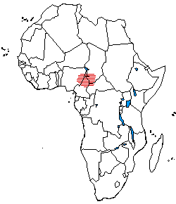 The distribution of Adamawa languages