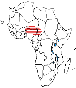 The distribution of Chadic languages