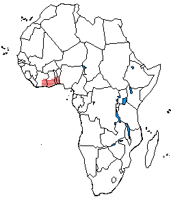The distribution of Kwa languages