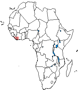 The distribution of Kru languages