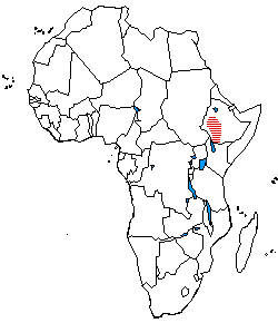 The distribution of Omotic languages